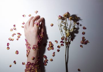 petals on human hand