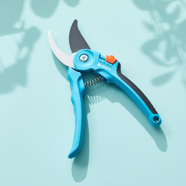 blue pruning shears