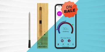 meater plus smart meat thermometer