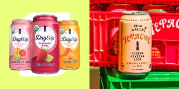 daytrip flavors including grapefruit lime and on the right a single can of tepache is shown branded as a modern mexican soda