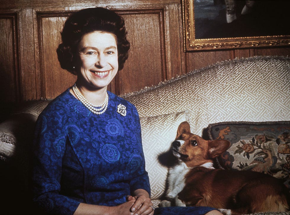 queen elizabeth ii with a corgi, 1970 photo by keystionehulton archivegetty images