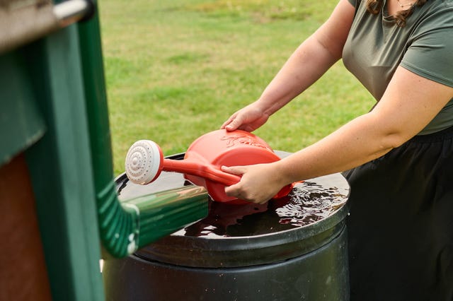 woman filling watering can with water from a rain barrel