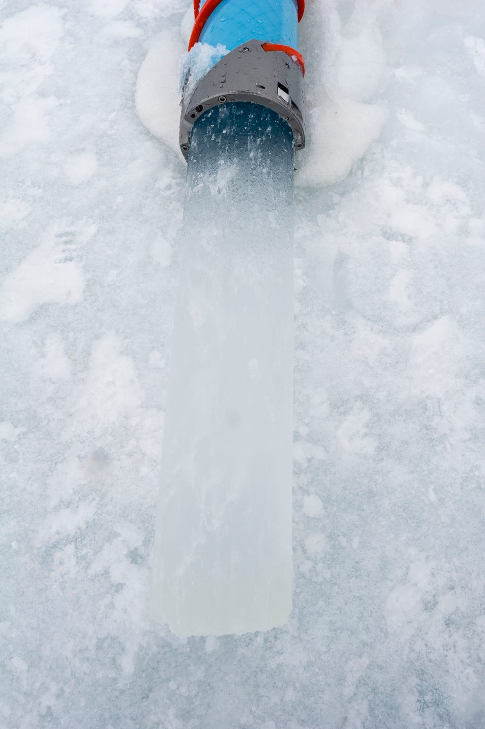 cylindrical sea ice core sample