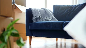 blue velvet sofa in living room with boxes