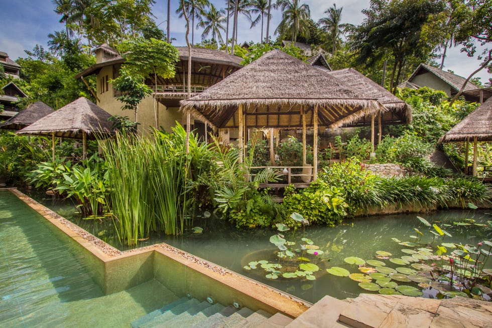 kamalaya longevity wellness spa koh samui thailand