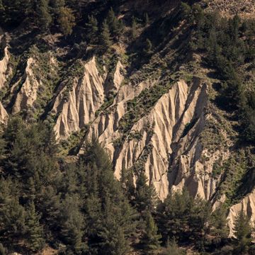 natural resources in italy's basilicata region