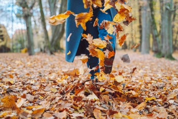 fall foliage fun unrecognizable woman legs playing and throwing maple leaves in the park