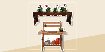 a shelf with flowers on it