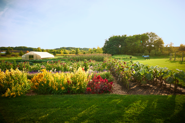 vegetable garden ideas overall