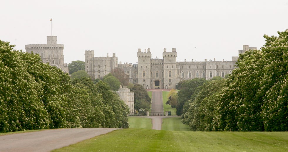 royal windsor horse show day three