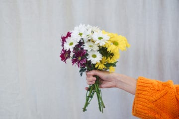 women's hands hold a bouquet of spring flowers chrysanthemums in white, yellow and red