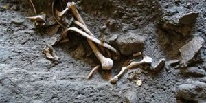 Roman Coins, Graves Found in Pompeii Shop Dig