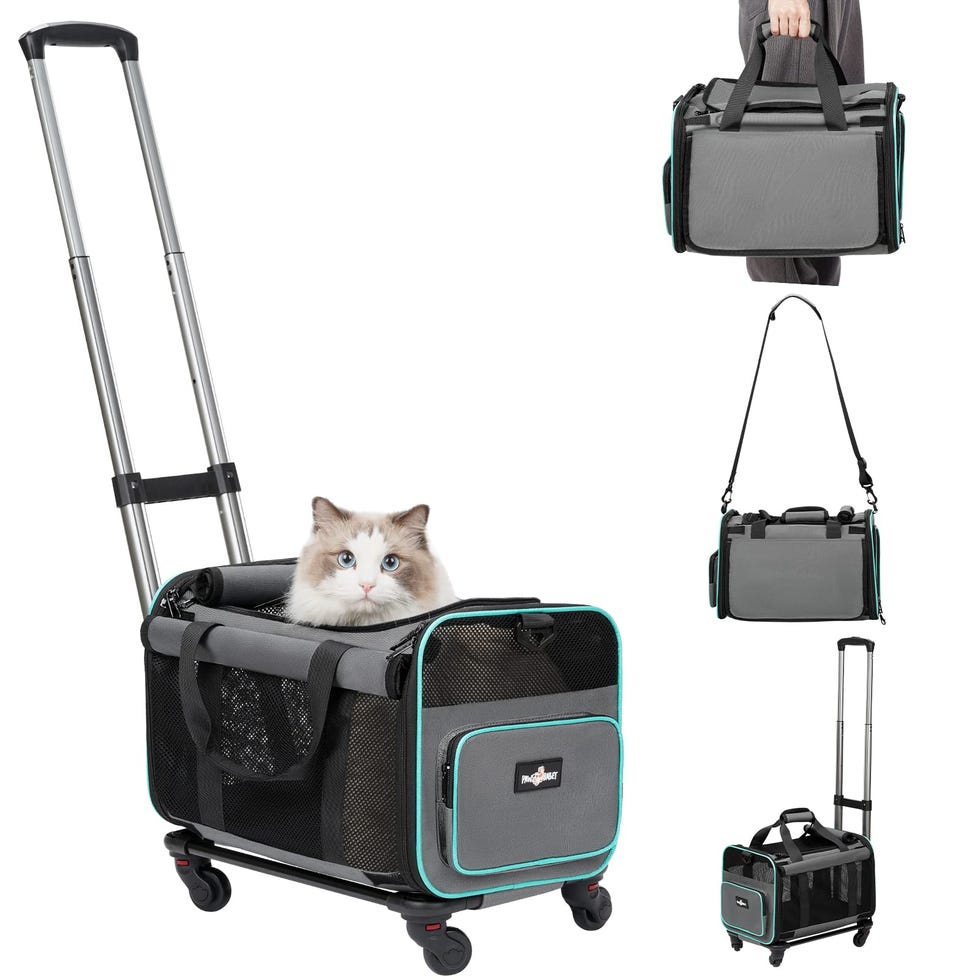 Rolling Pet Carrier with Wheels