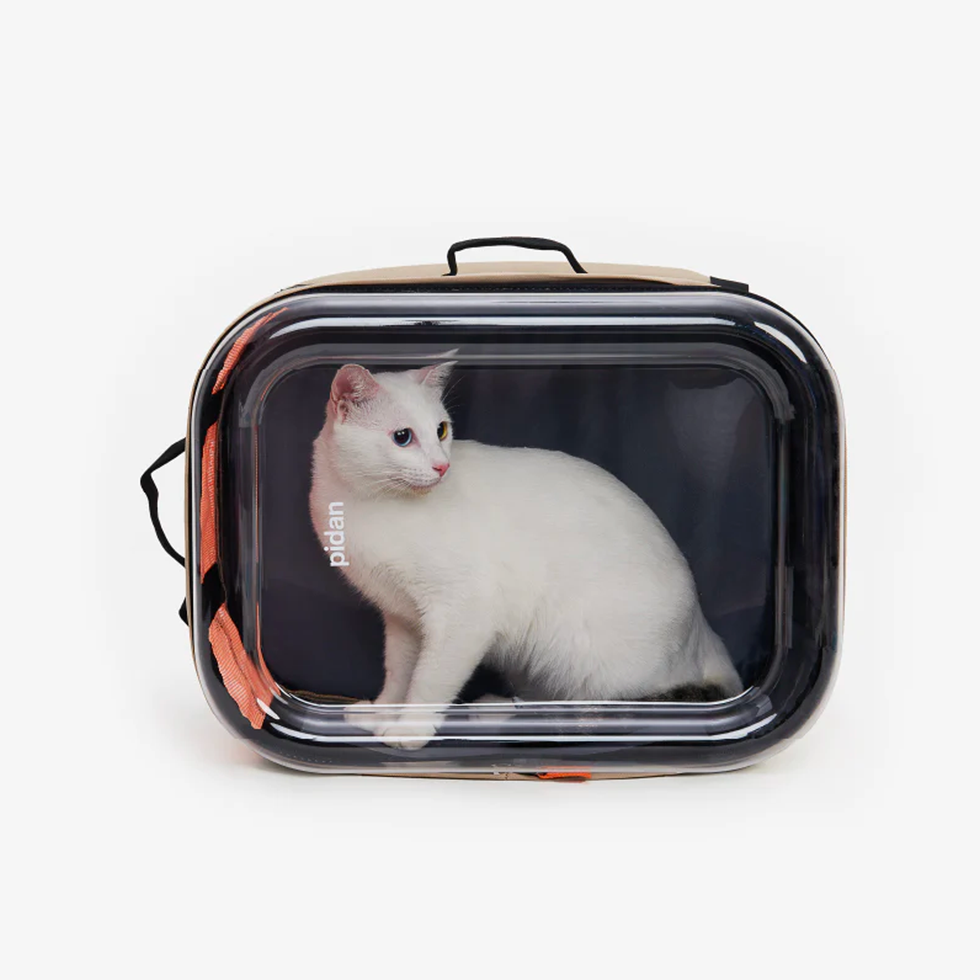 Travel Window Pet Carrier Backpack