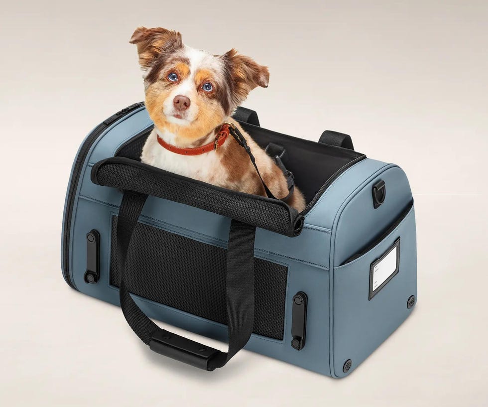 The Pet Carrier