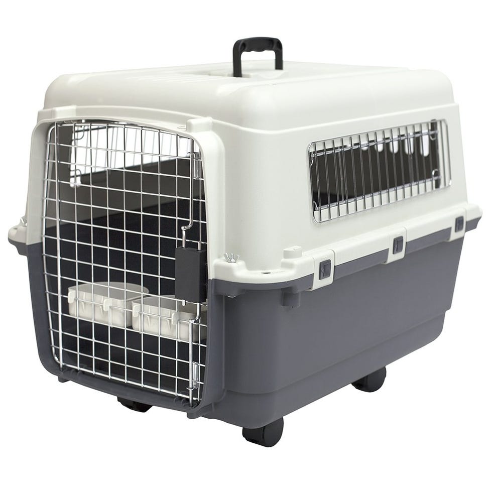 Rolling Plastic Wire Door Travel Dog Crate