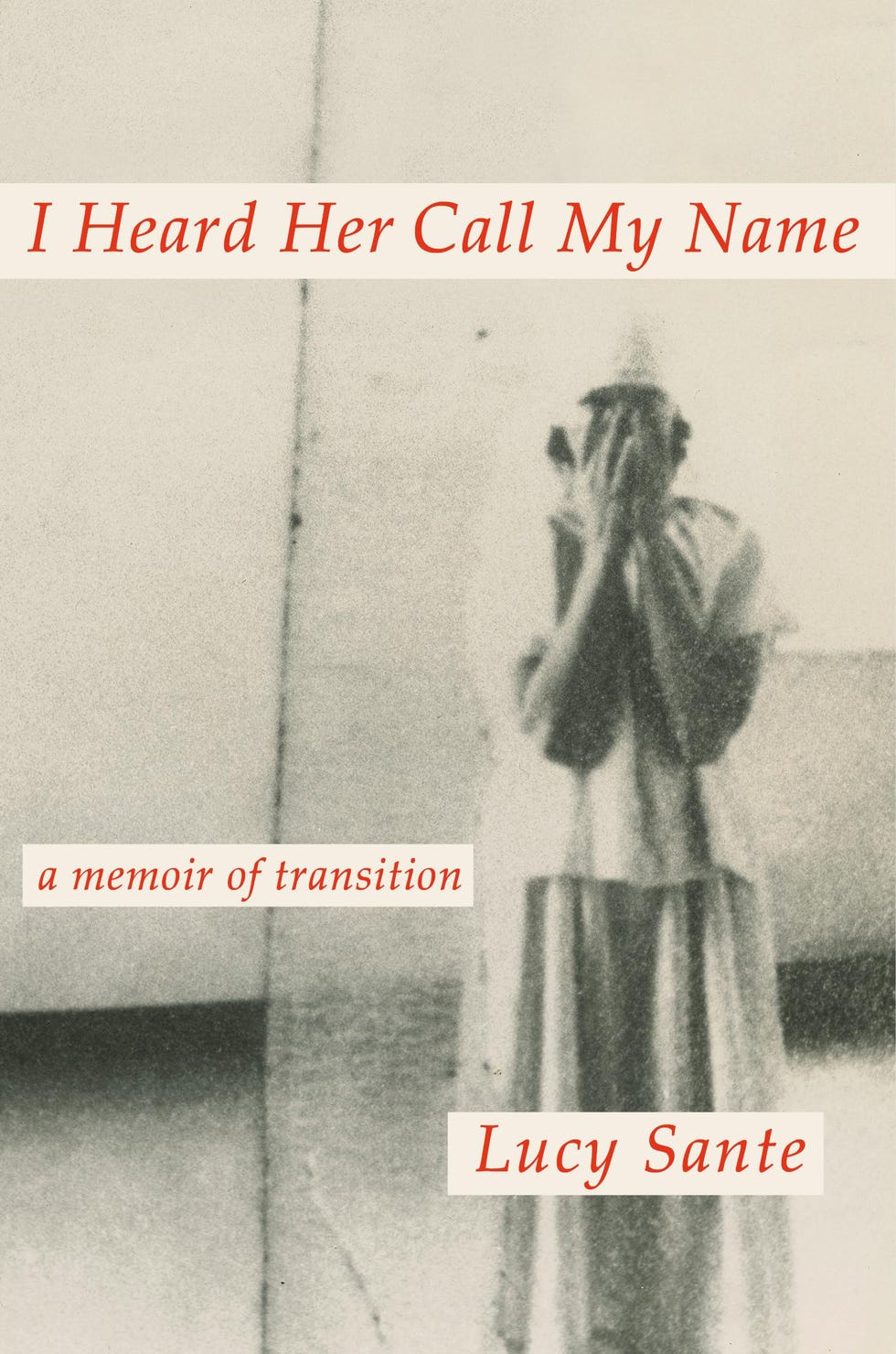 <em>I Heard Her Call My Name</em>, by Lucy Sante