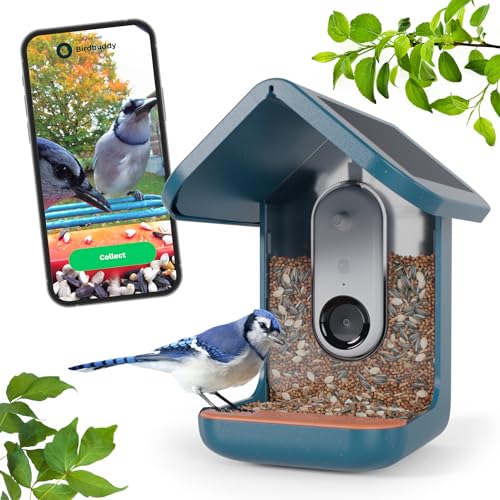 Original Smart Bird Feeder 