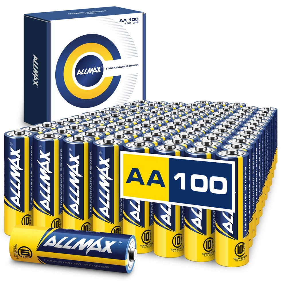 Alkaline Double A Batteries (100-Count)