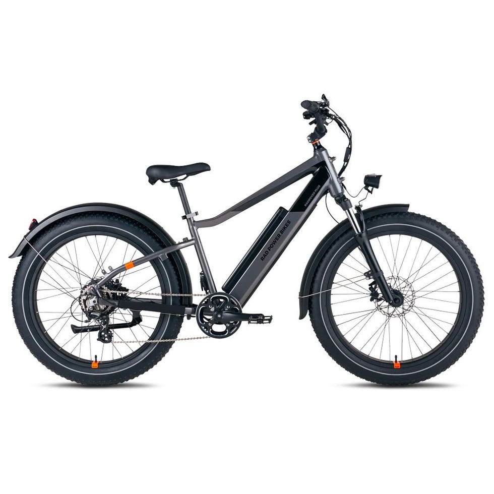 RadRover 6 Plus Electric Fat Tire Bike 