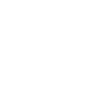 Lydig