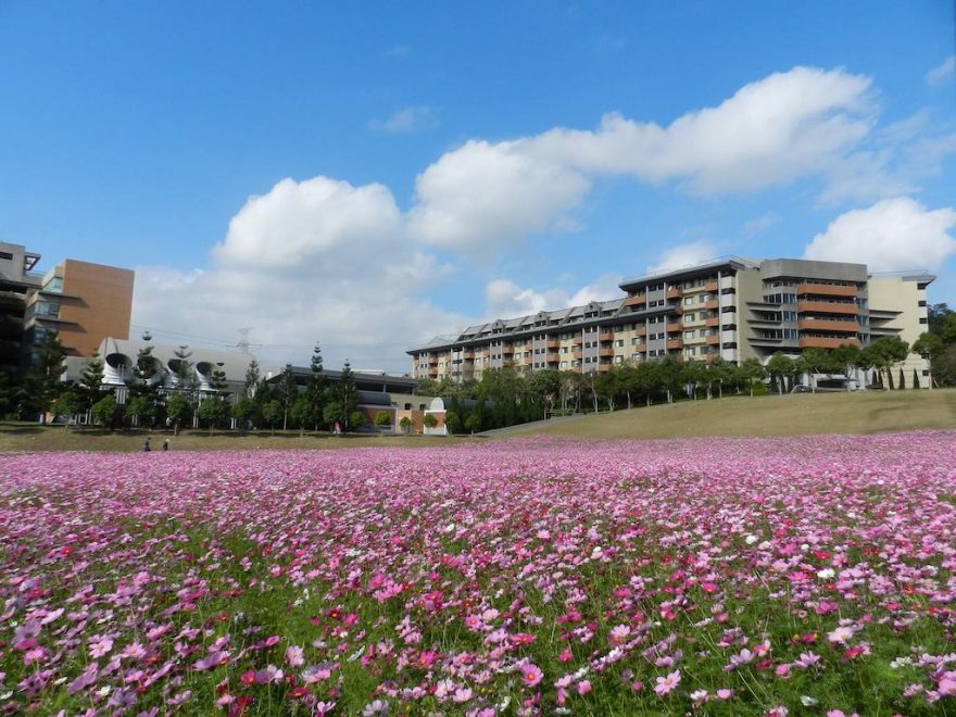 長庚養生村懶人包