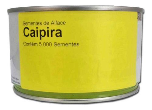 Alface Crespa Caipira Enza Zaden 5000 Sementes 