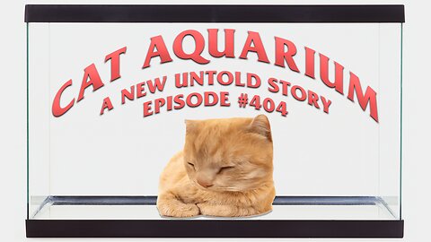 Cat Aquarium - A New Untold Story: Ep. 404