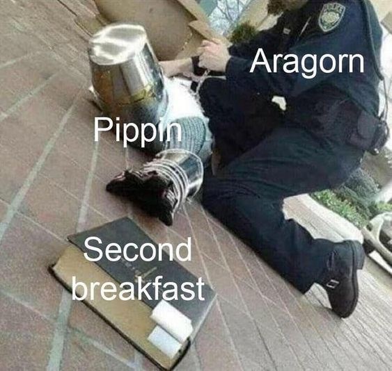 Human - Aragorn Pippin Second breakfast