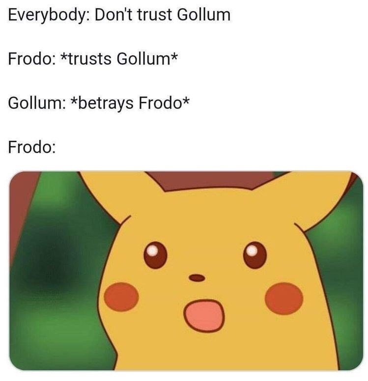 Text - Everybody: Don't trust Gollum Frodo: *trusts Gollum* Gollum: *betrays Frodo* Frodo: