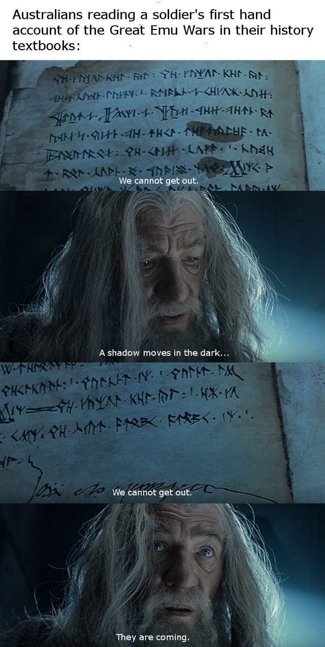 Text - Australians reading a soldier's first hand account of the Great Emu Wars in their history textbooks: H-PYANKA R: YH. PNYAN KH- AHYSCNPEY- RMSLO<HPAKANt ANHE- M- NAM4-HAH-AH< H We cannot get ou , MSn.a A shadow moves in the dark... W-4 KX We cannot get out. They are coming.