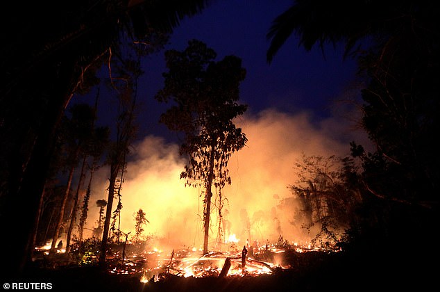 When the Amazon rainforest  fires broke out, the UK made an immediate donation of £10 million