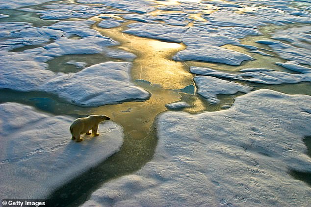 The Climate Change Act 2008 was the world's first 'legally-binding national commitment to cut greenhouse gas emissions'