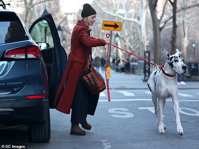 Naomi noted that Bing was much bigger than her rescue dog Izzy, a tiny Cairn Terrier and Poodle mix