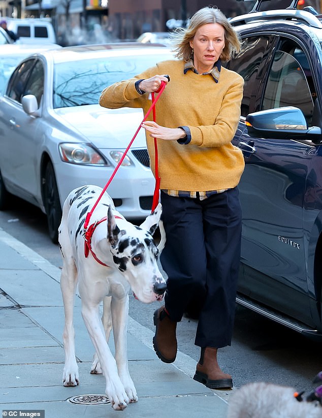 The actress - who recently brought her youngest child to a Paris Fashion Week event - kept it casual in a flannel shirt that was worn underneath a yellow crewneck sweater as she worked on the movie