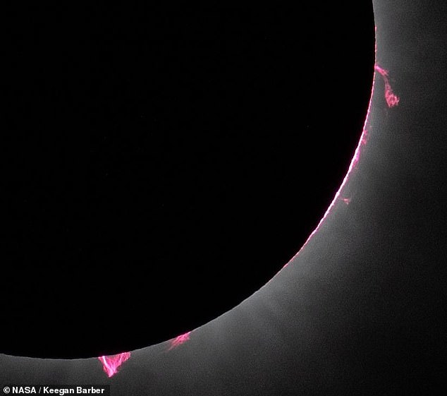 NASA photographer Keegan Barber captured several bright pink 'solar prominences' during the eclipse as the sun hung nearly 93 million miles above Dallas, Texas on April 8, 2024 (above)