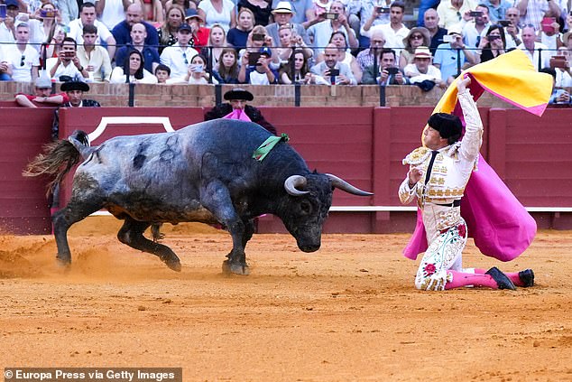 Jeremy Phillips explores Andalucia's controversial bullfighting tradition. Above, a bullfight in Seville’s Maestranza