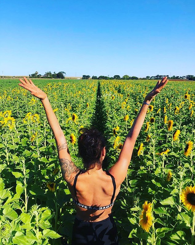 A little further out of town, half way to Bundaberg, is the Robertson Flower Farm, which comes to life when its field of sunflowers blooms between April and November