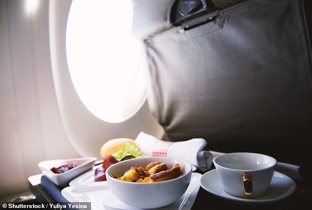 Sophie Foster defends her love of in-flight meals, describing them as 'nectar' (stock image)
