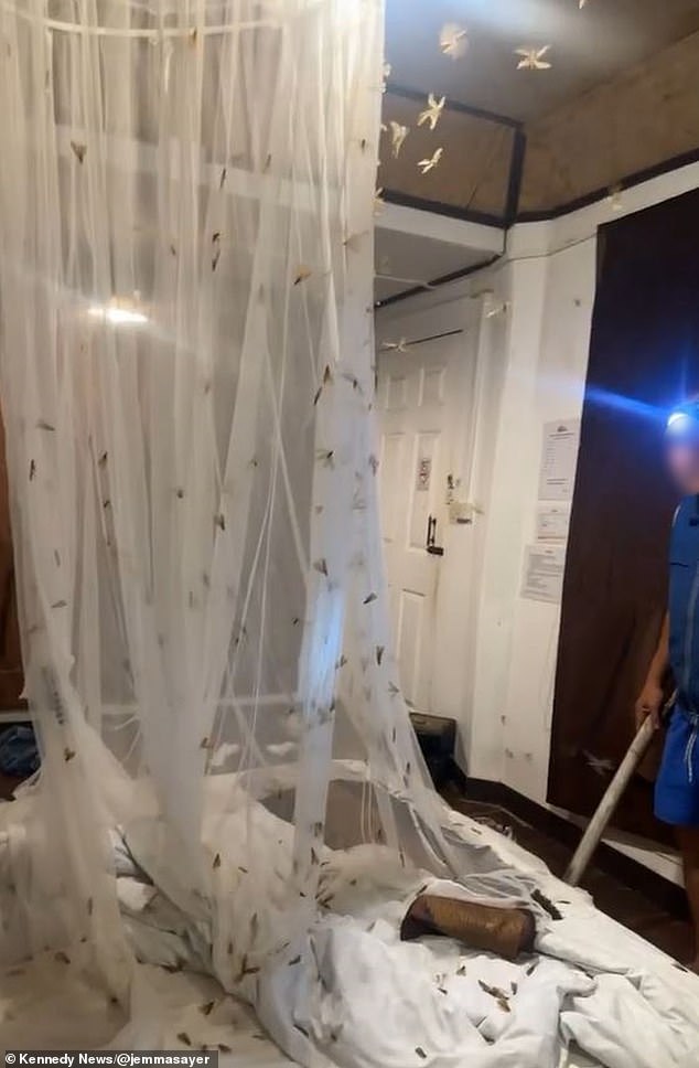 Backpacker Jemma Sayer captured the chaos in her room in Thailand in a TikTok video