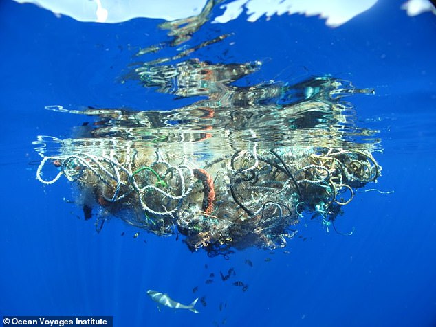 Egger explained that the system was designed to have large escape routes for marine life which can swim to the bottom without losing any of the plastic which tends to float to the top