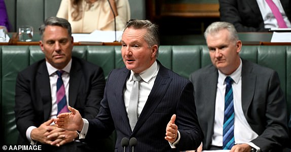 Australian Climate Change Minister Chris Bowen speaks during Question Time in the House of Representatives at Parliament House in Canberra, Wednesday, May 15, 2024. (AAP Image/Lukas Coch) NO ARCHIVING 13519843