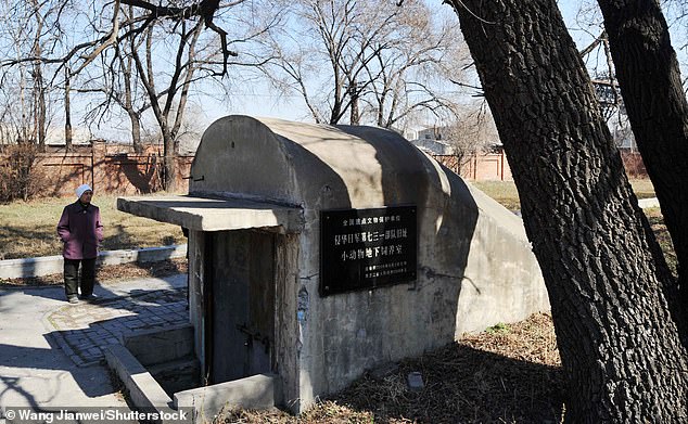 A woman visits the ruins of one of Japan's germ warfare facilities during WWII