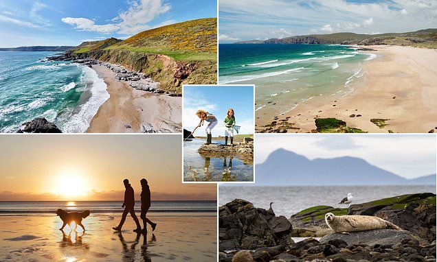 Revealed, Britain's finest crowd-free beaches... from hidden sandy coves in Cornwall, to