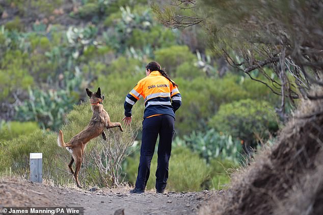 A search team member with a sniffer dog near to the village of Masca, Tenerife, June 22