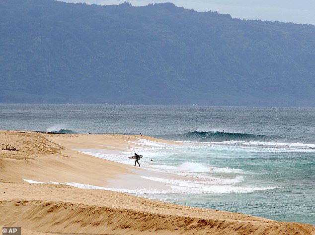 He was found off Mālaekahana Beach on Oahu's North Shore by local surfers with an arm and a leg missing