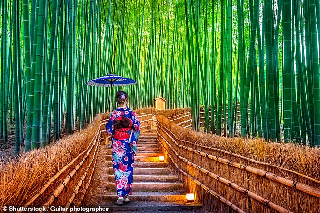 Sculpted: A woman strolls through the Sagano Bamboo Grove - 'a mountainside bamboo forest whose astonishing trees soar above the crowds'