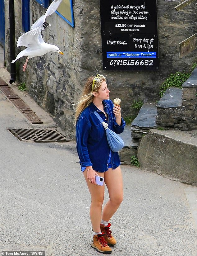 A seagull tries to swoop in on an unsuspecting walker's ice cream in Port Isaac, Cornwall