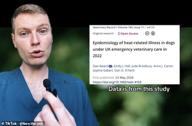 The vet revealed where he had sourced the data for his evidence-based video on which dog breeds have the highest risk of heatstroke