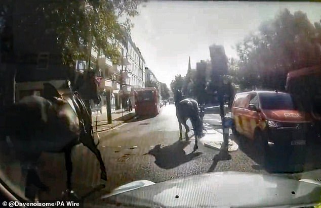 TODAY: Dash cam footage courtesy of a black cab taxi driver shows two of three military horses which bolted through central London